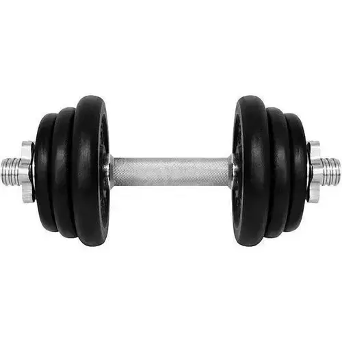 Gantera reglabila Lifefit 529FCIN123, 12kg, set 6 discuri