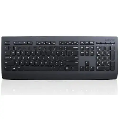 Tastatura Wireless Lenovo Professional, USB, US (Negru)