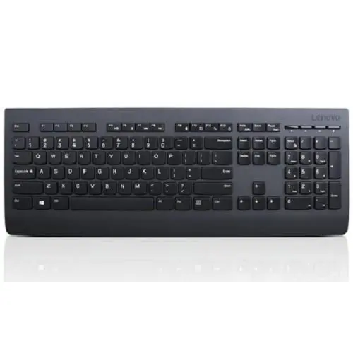 Tastatura Wireless Lenovo Professional, USB, US (Negru)