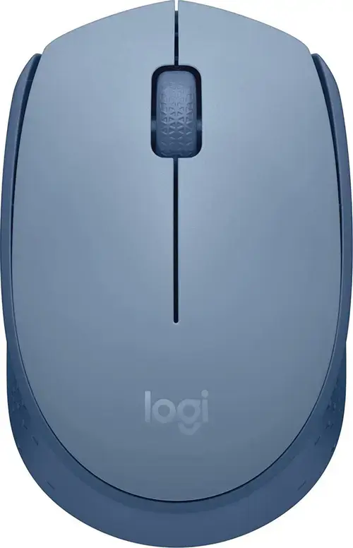 Mouse Wireless Logitech M171, USB, 1000 DPI (Albastru)