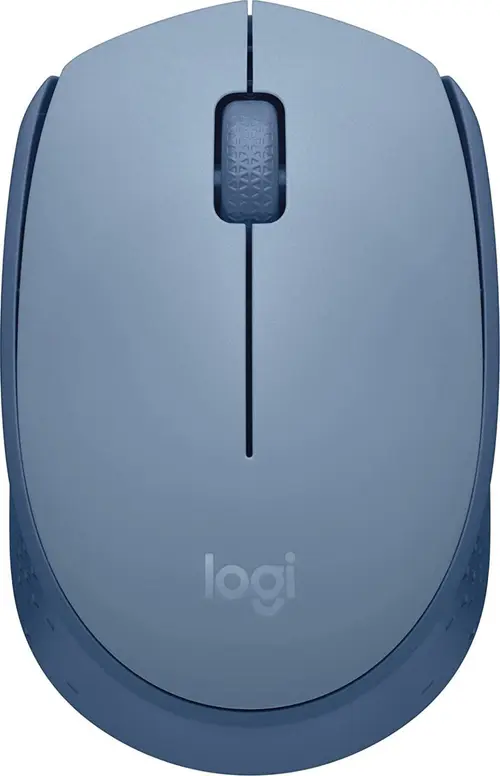 Mouse Wireless Logitech M171, USB, 1000 DPI (Albastru)
