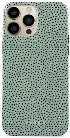 Husa Protectie Spate Burga BHTIXIIIPMMG Mint Gelato iPhone 13 Pro Max (Multicolor)