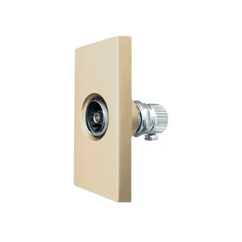 Modul Priza TV 1M LUXION, Auriu