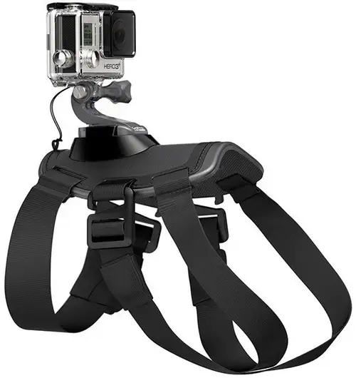 Ham pentru caini GoPro Fetch ADOGM-001