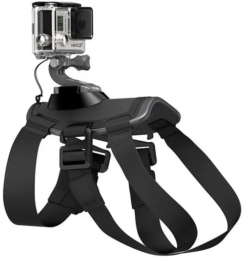 Ham pentru caini GoPro Fetch ADOGM-001
