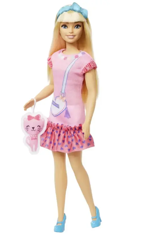 Papusa Barbie - Malibu cu accesorii