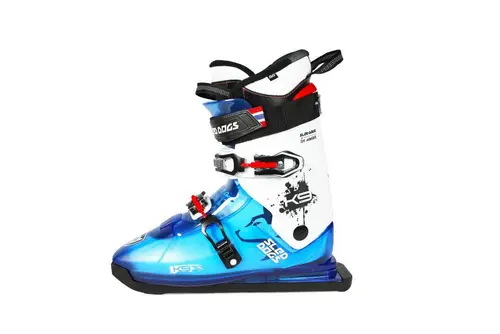 Patine Pegas SLED DOGS K9.02- 310 mm, 47