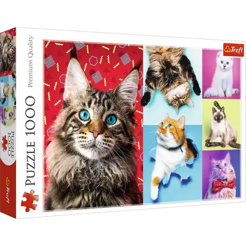 Puzzle Trefl Pisicute fericite, 1000 piese