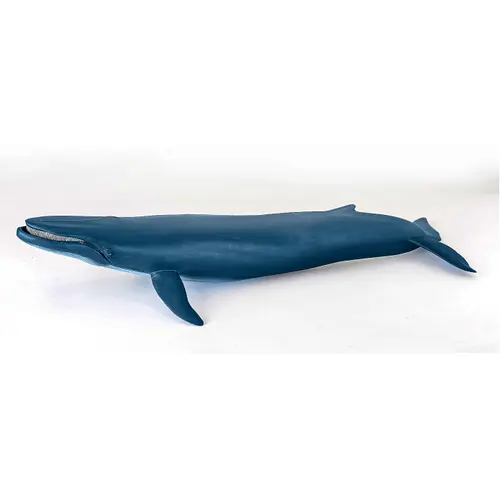 Figurina Papo - Universul acvatic, Balena Albastra