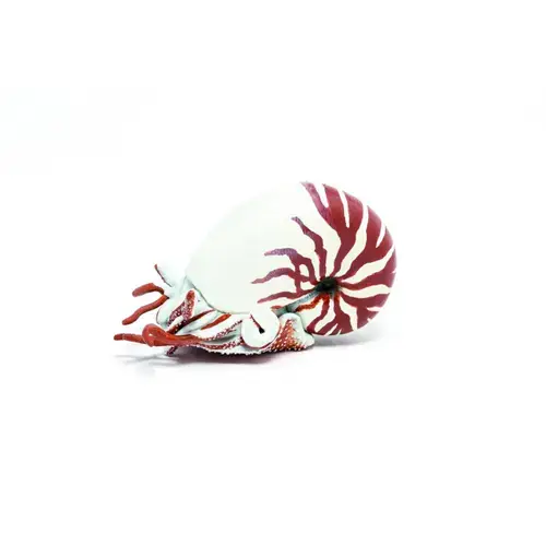 Figurina - Nautilus, Multicolor, 6 cm
