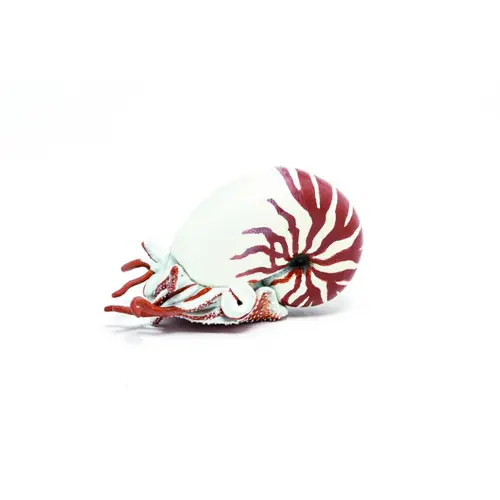 Figurina - Nautilus, Multicolor, 6 cm