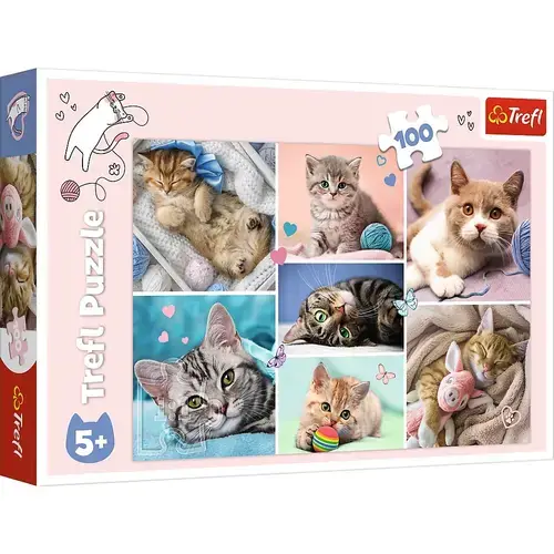 Puzzle Trefl, In lumea pisicilor, 100 piese