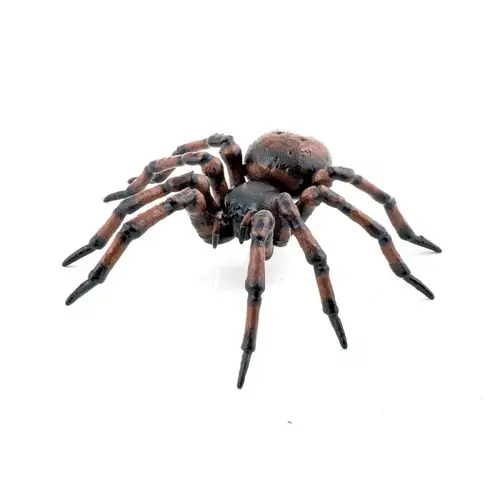 Figurina Papo Garden animals - Common spider