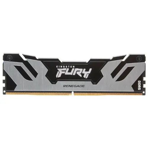 Memorie Kingston Renegade Silver, 16GB, DDR5, 6400MHz, CL32