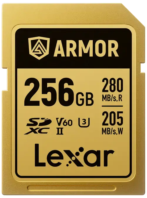 Card de memorie Lexar ARMOR Gold LSDAMGL256G-RNNNG, 256GB, SDXC, UHS-II U3, V60, Inox, IP68