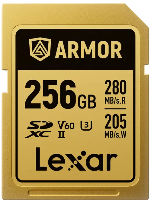 Card de memorie Lexar ARMOR Gold LSDAMGL256G-RNNNG, 256GB, SDXC, UHS-II U3, V60, Inox, IP68
