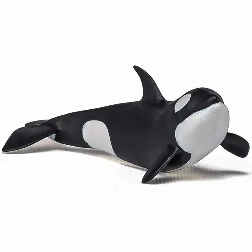 Figurina Papo - Universul acvatic, Pui Balena Ucigasa
