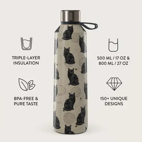Sticla Termos Burga Salem, 500 ml, Inox