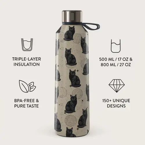 Sticla Termos Burga Salem, 500 ml, Inox