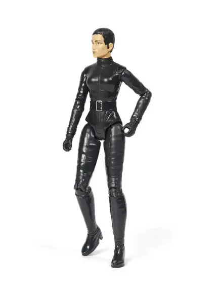 Figurina Spin Master DC Comics Batman Selina Kyle, 30cm, Negru
