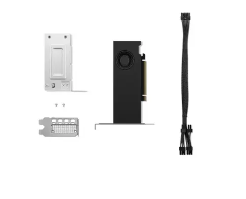 Placa video profesionala Lenovo nVidia RTX A2000 Ada 16GB GDDR6 4xmDP