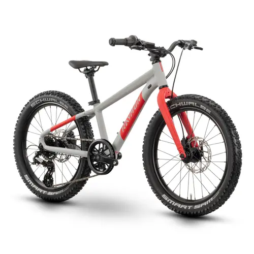 Bicicleta copii Raymon Yanga 20 Pro, frane hidraulice, cadru aluminiu, roti 20 inch, Gri