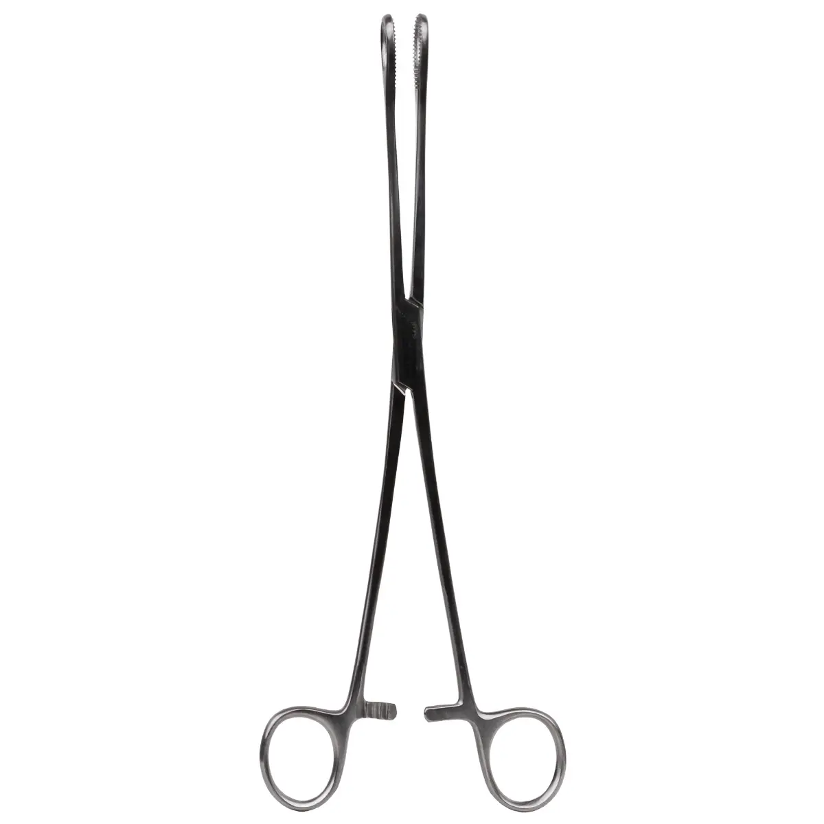 Pensa port-tampon Foerster, dreapta, 25cm, din otel inoxidabil