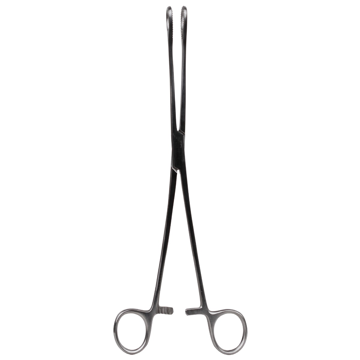 Pensa port-tampon Foerster, dreapta, 25cm, din otel inoxidabil