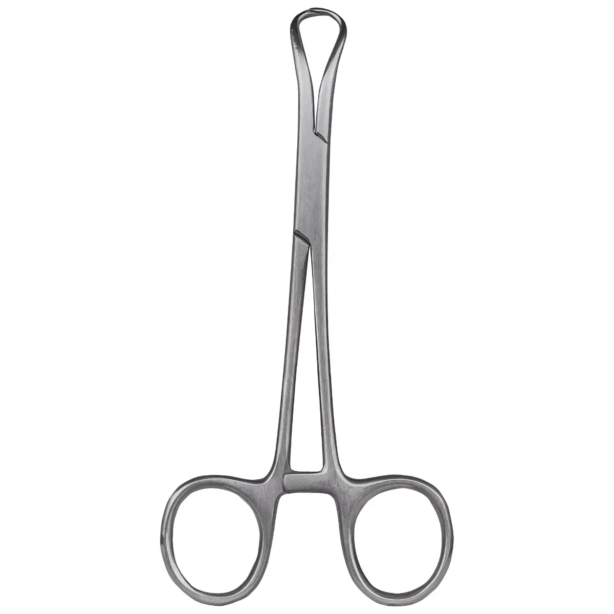 Pensa Backhaus pentru campuri, otel inoxidabil, 13cm