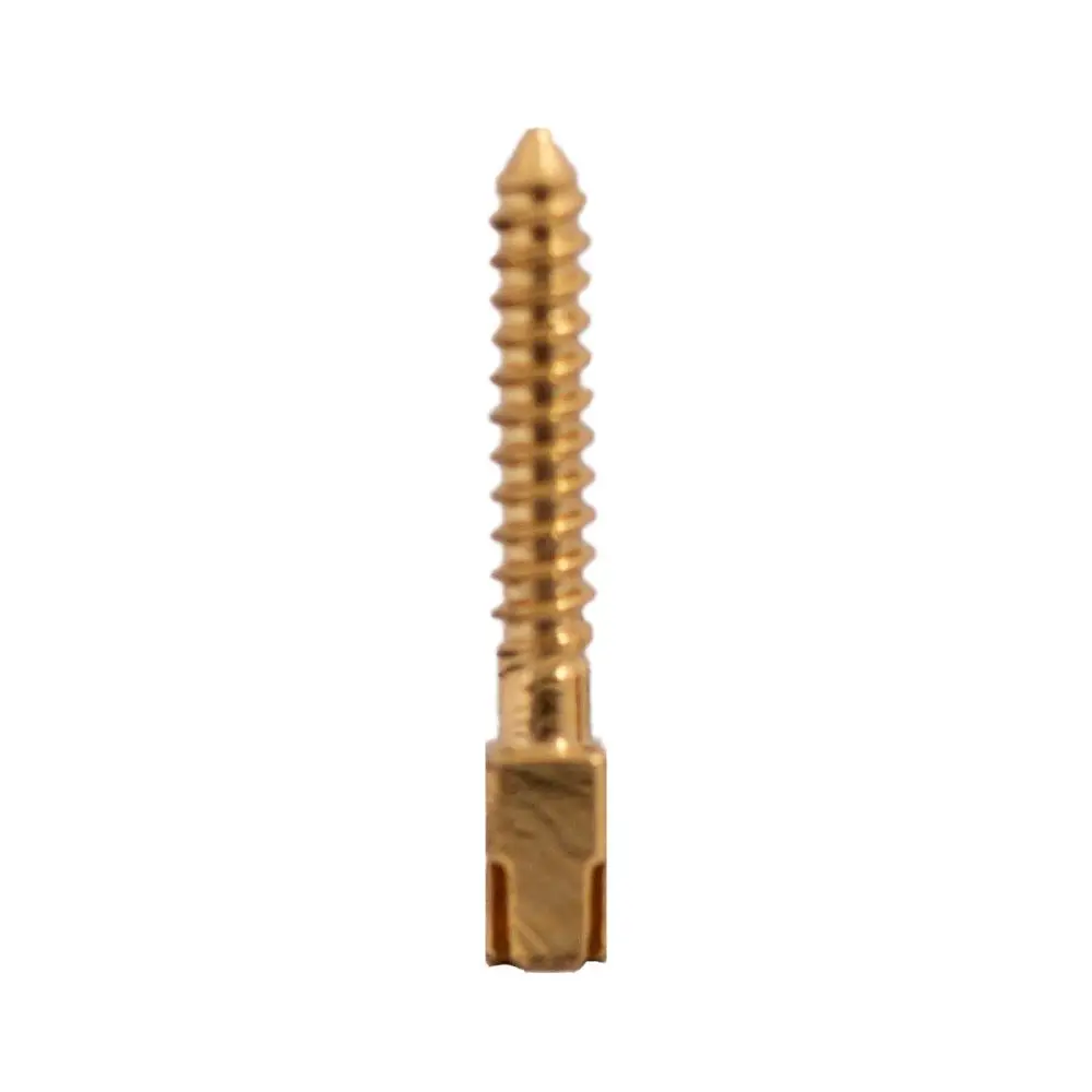Pivoti endodontici din otel inox, PRIMA, auriti, diverse marimi, 10 buc