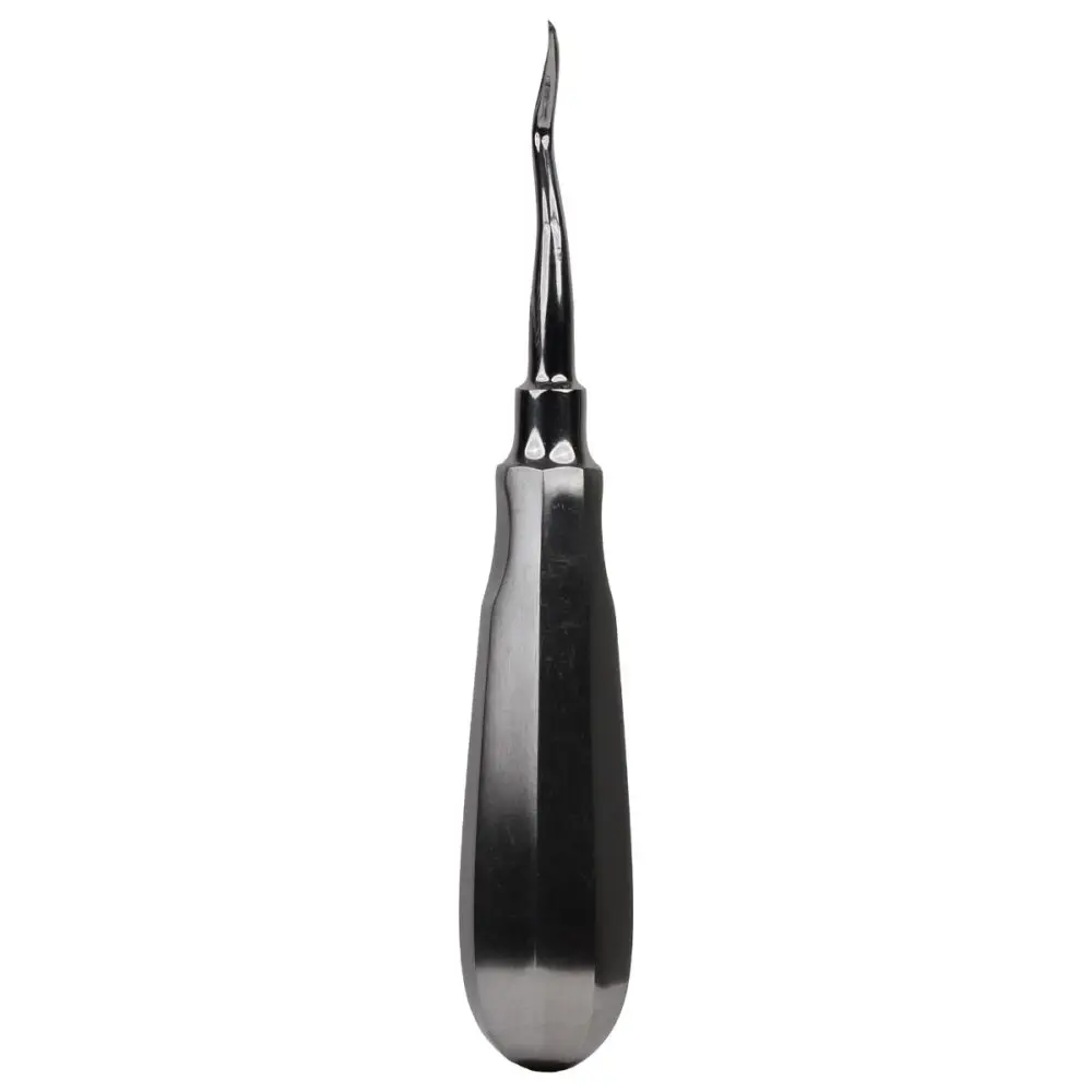 Elevator dentar, curbat dreapta, otel inoxidabil, PRIMA, ascutit/rotunjit