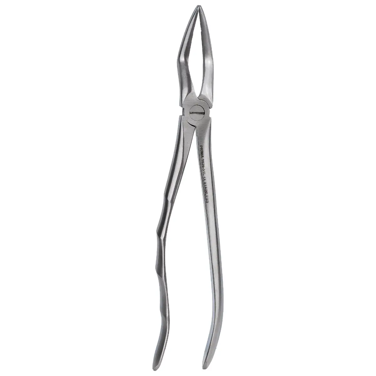 Cleste extractie nr. 51L - Radacini superiori, PRIMA