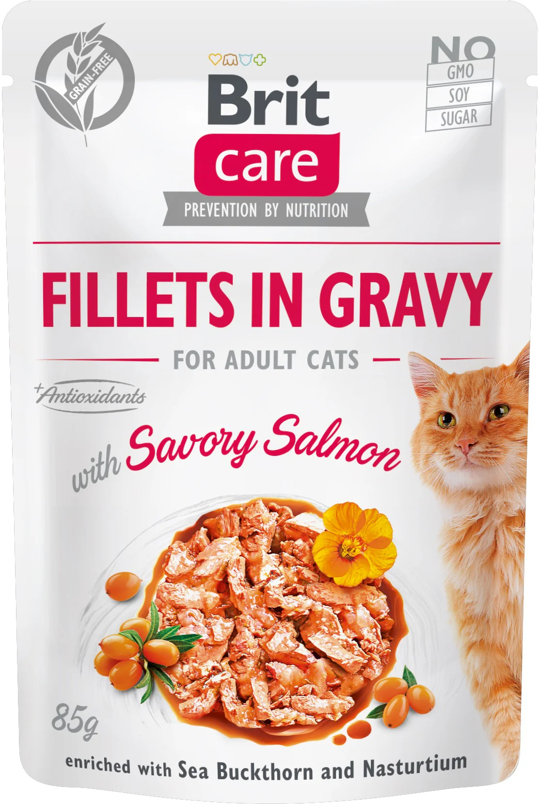 BRIT CARE Plic pentru pisici, File de somon în sos 85g