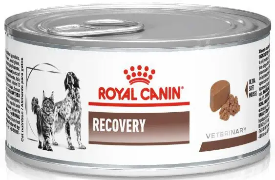 ROYAL CANIN VHN Recovery Conservă pentru câini şi pisici 195g