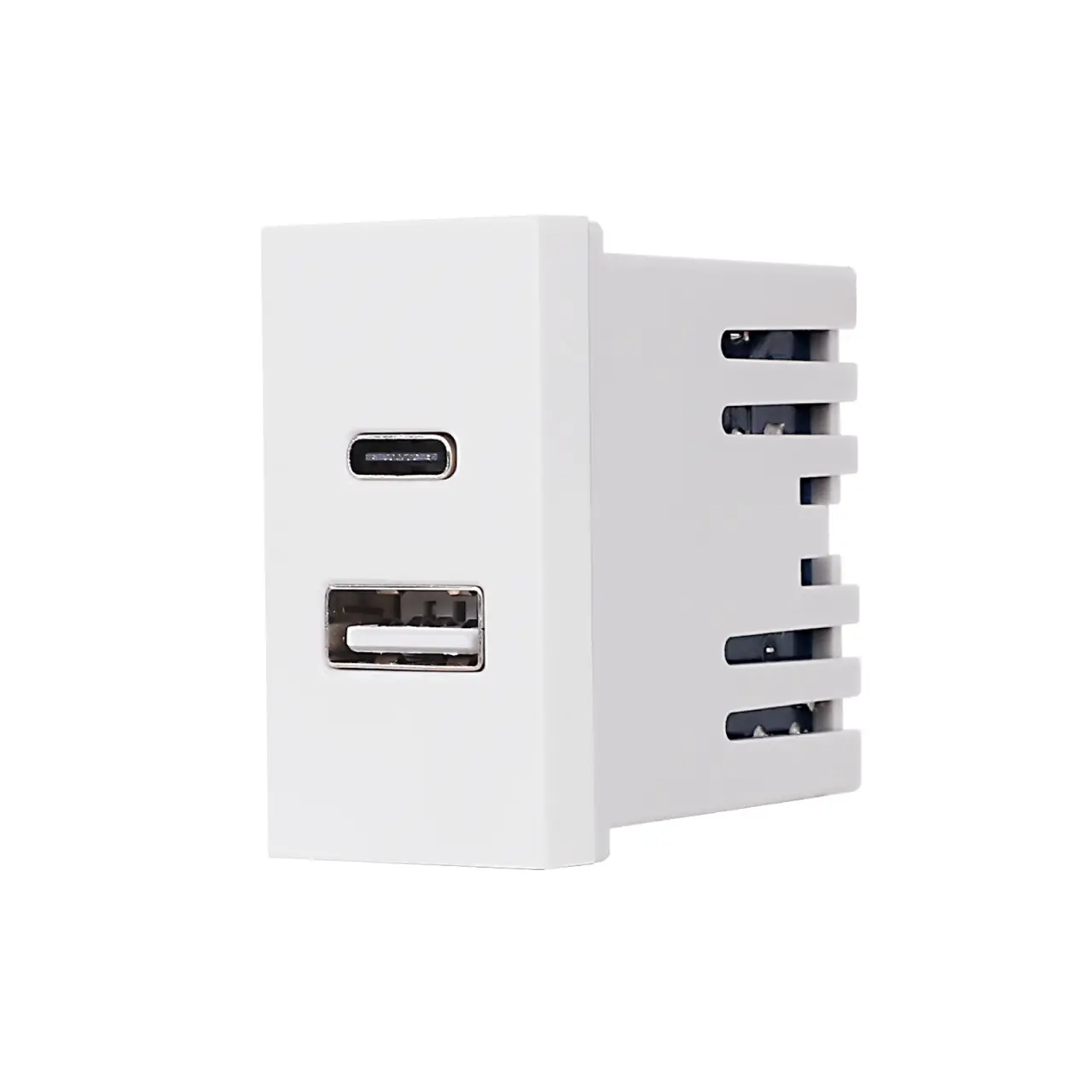 Modul Priza USB A+C 1M LUXION, Standard Italian