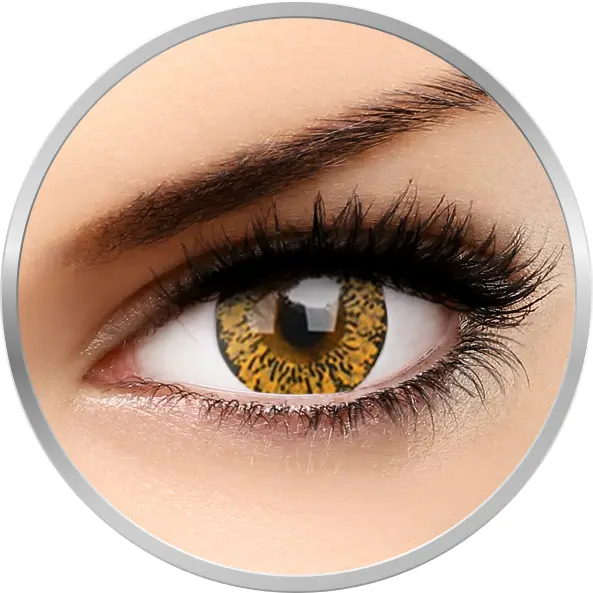 Lovely Eyes Baby Brown 30 de purtari 2 lentile/cutie