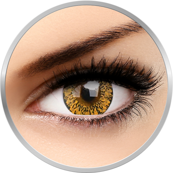 Lovely Eyes Baby Brown 30 de purtari 2 lentile/cutie