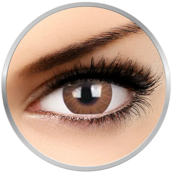 Vogus Brown 90 de purtari 2 lentile/cutie