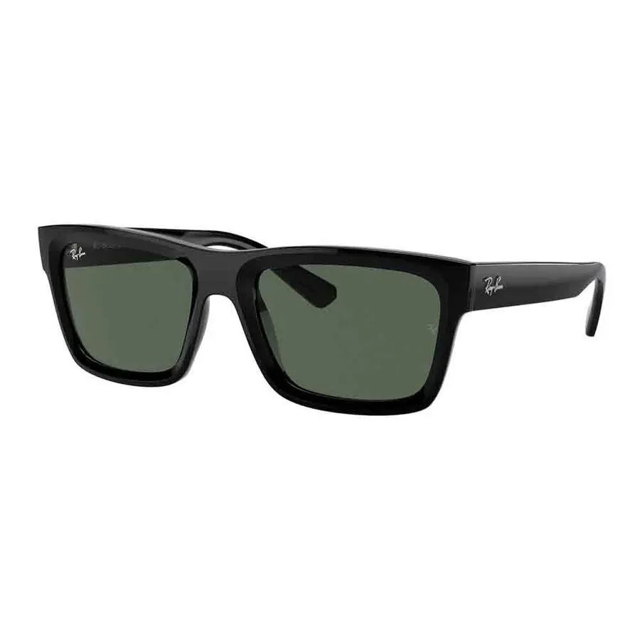 Ochelari de soare barbati Ray-Ban RB4396 667771