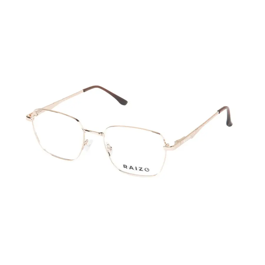 Rame ochelari de vedere dama Raizo V114 C1