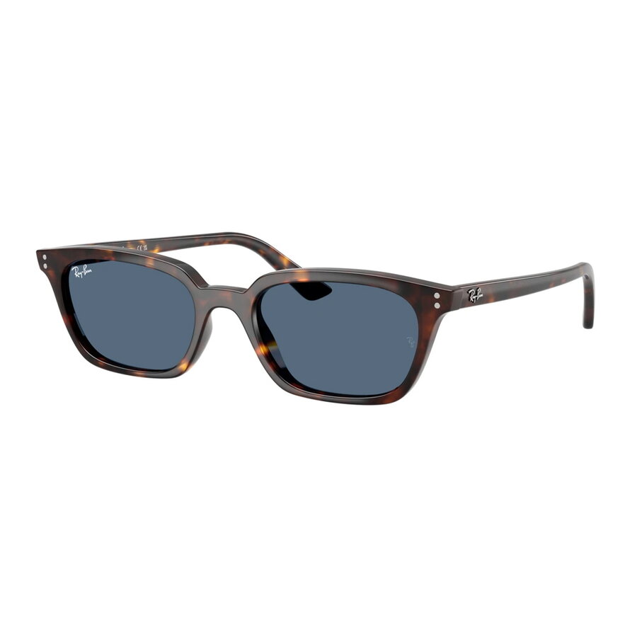 Ochelari de soare unisex Ray-Ban RB4456 135980