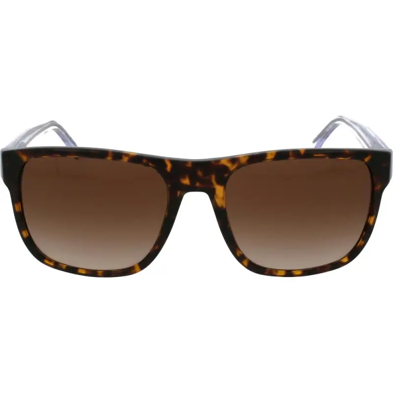 Emporio Armani EA4163 5879/13 56