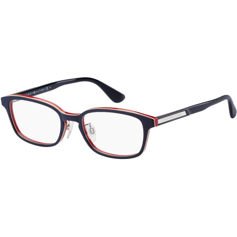 Tommy Hilfiger TH1565/F OTG 54