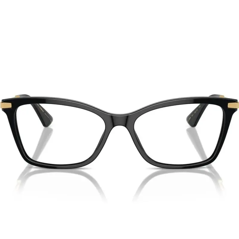 Dolce&Gabbana DG3393 501 54
