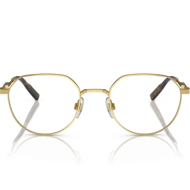 Dolce&Gabbana DG1349 02 52