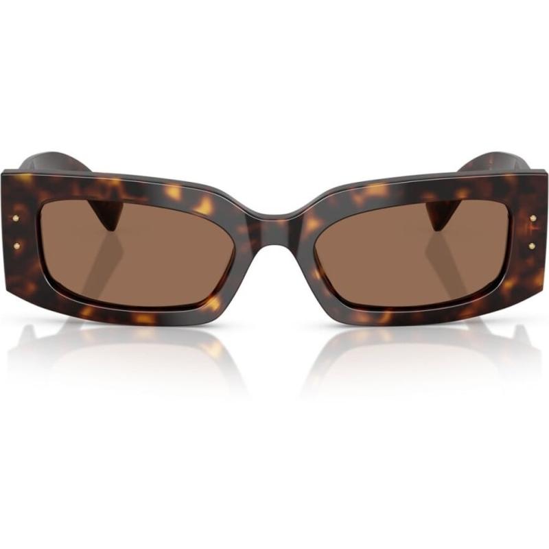 Dolce&Gabbana DG4479 502/73 55