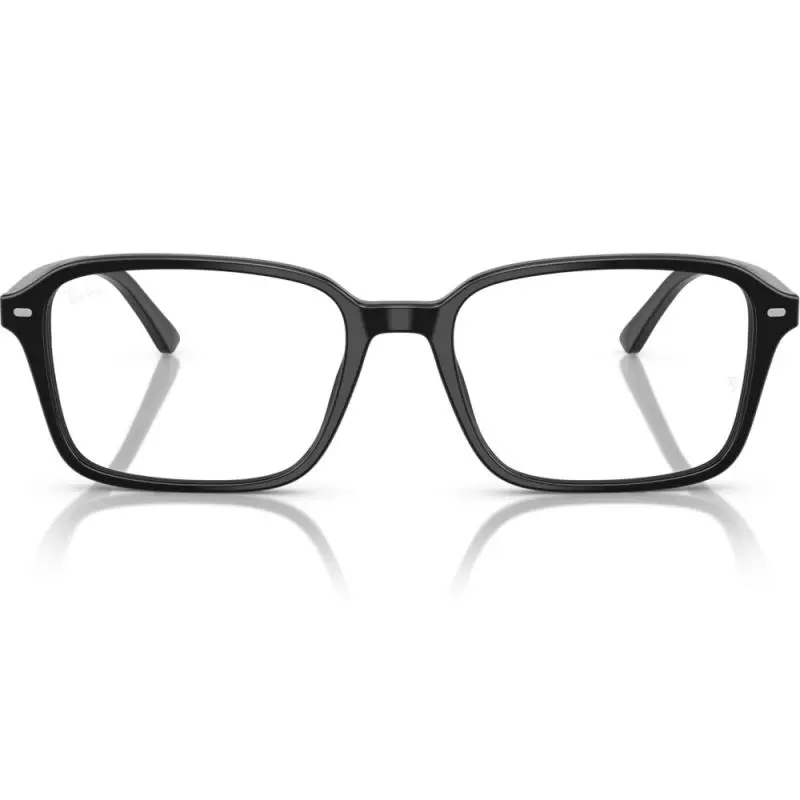 Ray-Ban RX5431 2000 54 RAIMOND