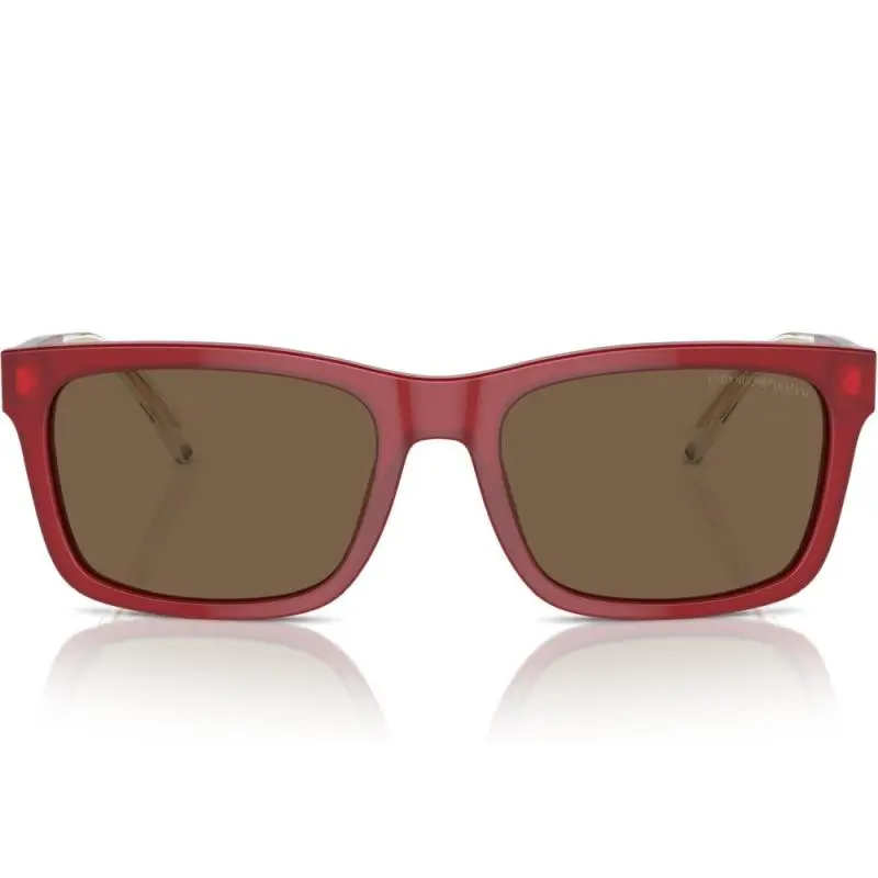 Emporio Armani EA4224 6093/73 57