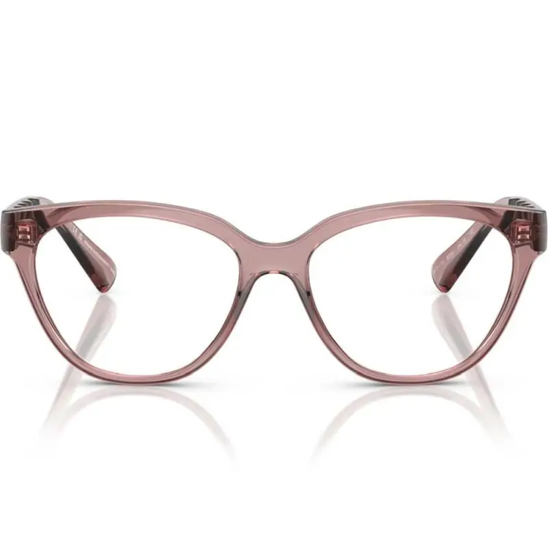 Armani Exchange AX3117U 8359 54