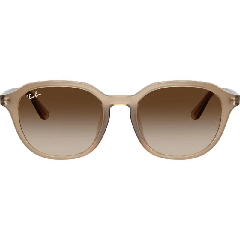 Ray-Ban RB4459D 6166/13 54
